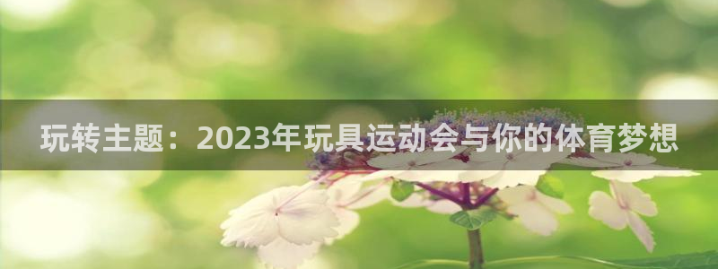 玩转主题：2023年玩具运动会与你的体育梦想