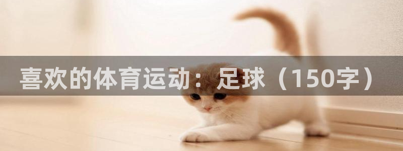 喜欢的体育运动：足球（150字）