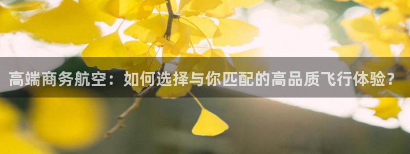 高端商务航空：如何选择与你匹配的高品质飞行体验？