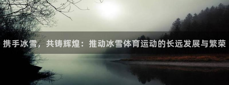 携手冰雪，共铸辉煌：推动冰雪体育运动的长远发展与繁荣