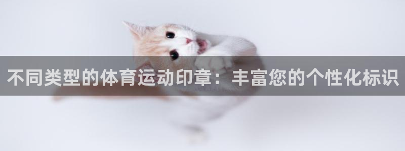 不同类型的体育运动印章：丰富您的个性化标识