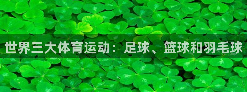 世界三大体育运动：足球、篮球和羽毛球
