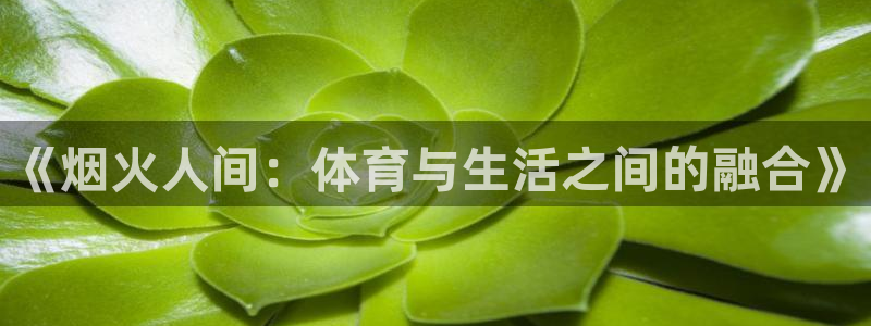 《烟火人间：体育与生活之间的融合》