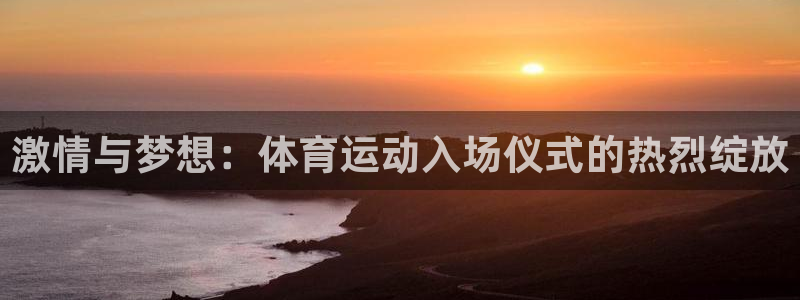 激情与梦想：体育运动入场仪式的热烈绽放