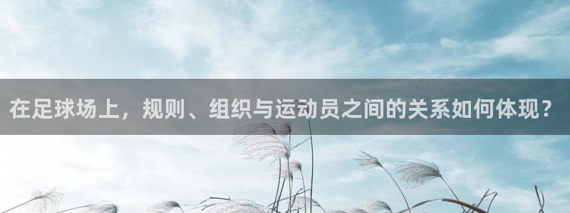 在足球场上，规则、组织与运动员之间的关系如何体现？
