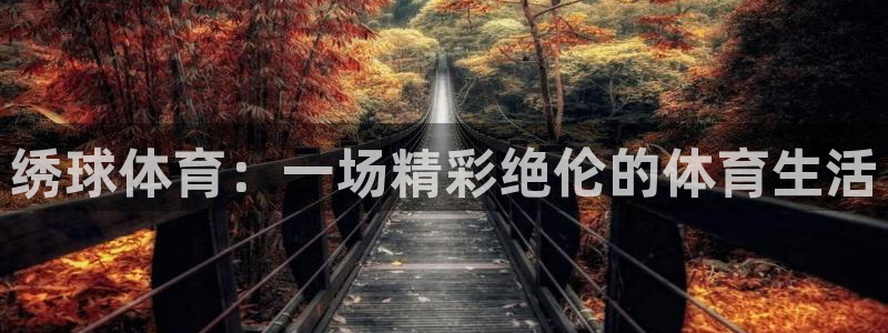 绣球体育：一场精彩绝伦的体育生活